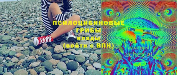 мдпв Арсеньев