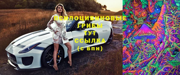 МДПВ Аркадак