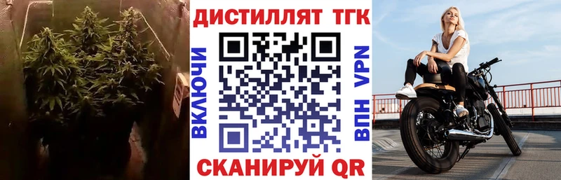 мориарти телеграм  Сокол  Дистиллят ТГК THC oil 